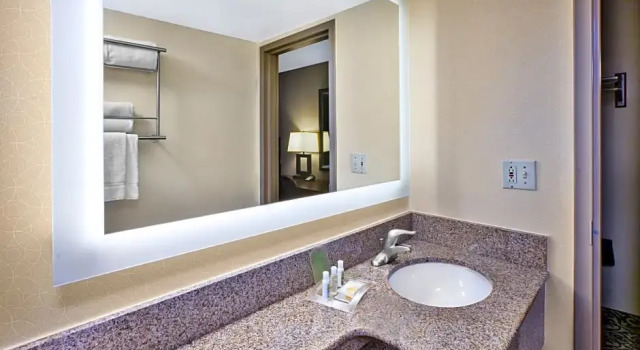 Двухместный люкс c 1 комнатой Holiday Inn National Airport/Crystal City by IHG