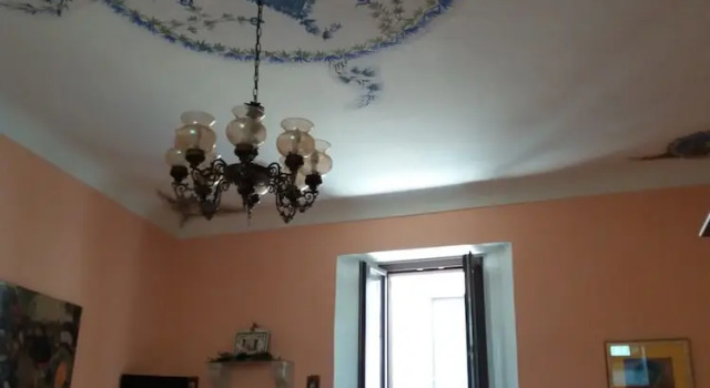 Люкс B&B Myosotis
