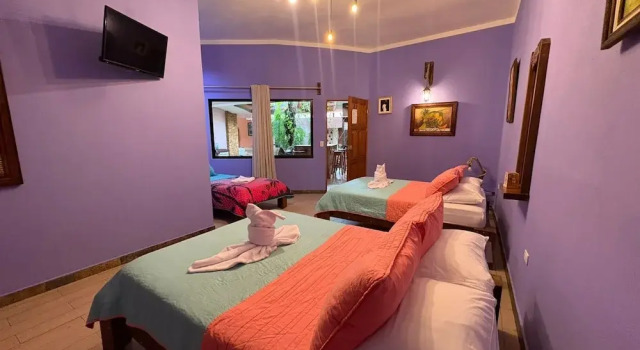 Номер Deluxe Hotel Arte Natura