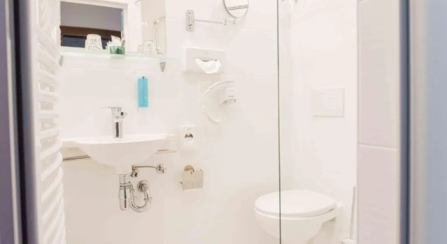 Одноместный номер Standard Hotel Bellevue