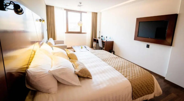 Двухместный номер Deluxe Hotel Mitru Sur