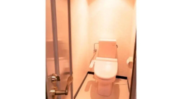 Двухместный номер Executive Highness Hotel Kurume