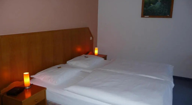 Апартаменты c 1 комнатой Hotel Mecklenburger Mühle Garni