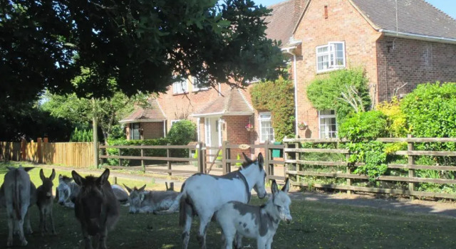 Коттедж Hops Main House New Forest