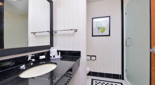 Двухместная студия Fairfield Inn and Suites by Marriott Birmingham Pelham/I-65
