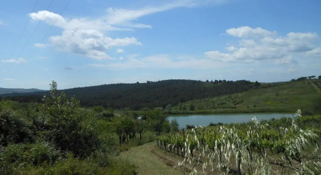 Апартаменты с 2 комнатами Casa Nel Chianti Da Norma
