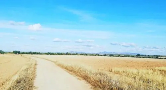 Albergue Turistico La Almazara