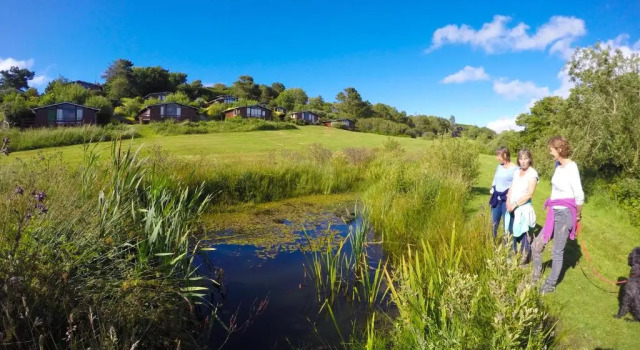 Номер Standard Timber Hill Self Catering Cedar Lodges
