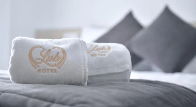 Одноместный номер Economy Lubhotel
