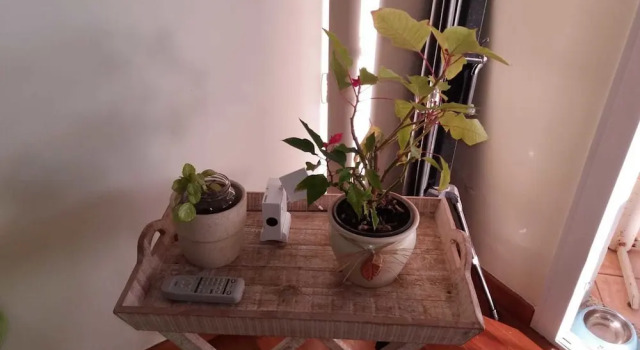 Apartamento Jade, Boek Appartement Caniço Madeira