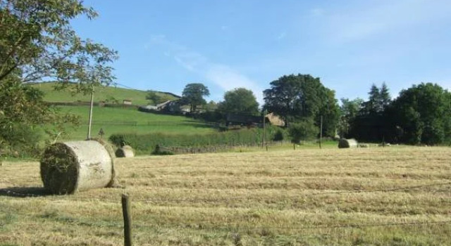 The Wind in the Willows Country House Hotel