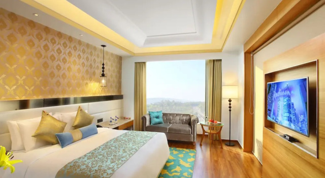 Полулюкс Radisson Blu Jammu