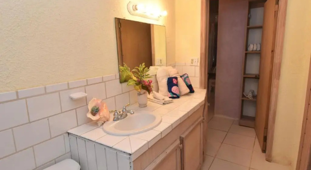 Люкс Premium The Sugar Apple Lodging