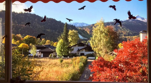 Коттедж Ferienhaus König