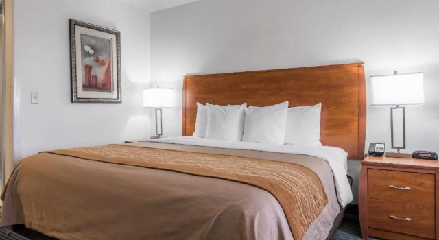 Номер Standard Quality Inn Denver Westminster