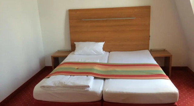 Standart oda Artemisia Berlin Frauenhotel