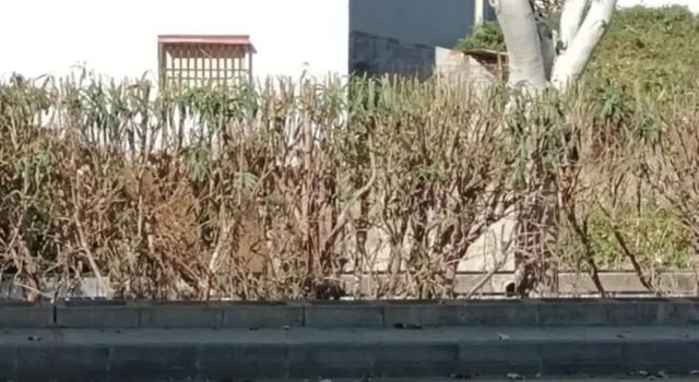 Vivienda turística ondara, 预订 酒店 翁达拉 白色海岸
