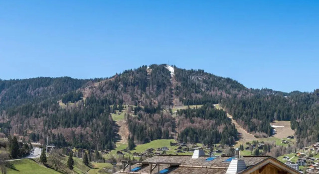 Studio La Clusaz, 1 pièce, 3 personnes - FR-1-459-91, Забронировать Отель Ла-Клюза Лыжный курорт на озере Анси, рядом с Плавательный бассейн Aravis
