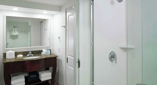 Двухместный люкс c 1 комнатой Hampton Inn & Suites Memphis-Beale Street