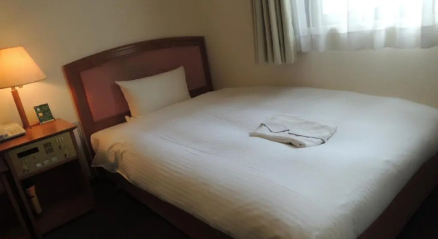 Одноместный номер Hotel Green Selec