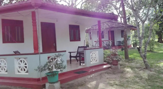 Номер Standard Calm Garden Cabanas