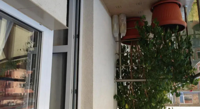 Номер Standard Zoya Guest House
