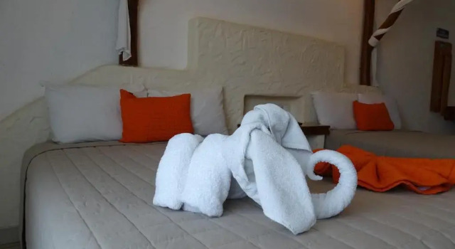 Номер Standard Hotel Palapa Palace