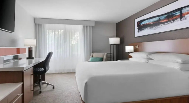 Номер Standard Delta Hotels by Marriott Burlington