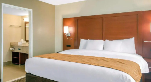 Номер Standard Comfort Inn & Suites Biloxi-DIberville