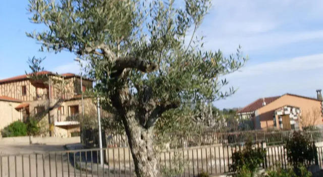 Апартаменты Casa Rural Amelia