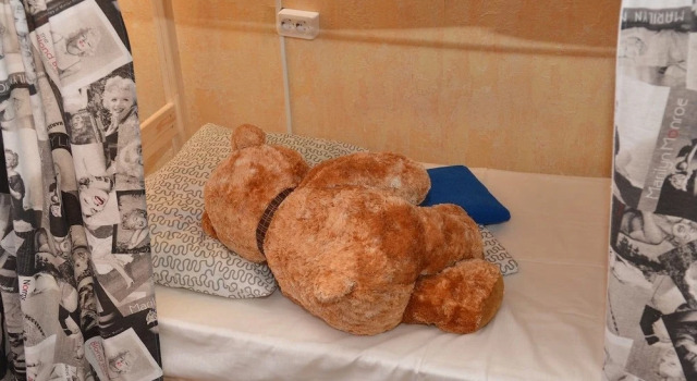 (camerata maschile) letto in camerata Teddy Hostel