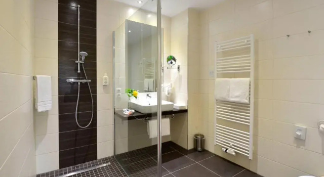Номер Deluxe Ringhotel Haus Oberwinter
