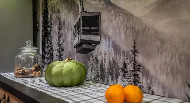 Willa Cicha Woda Centrum, Book Hotel Zakopane 