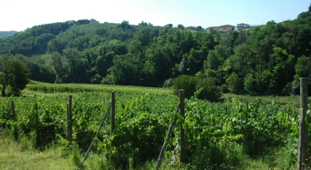 Апартаменты Agriturismo Casa Casoni