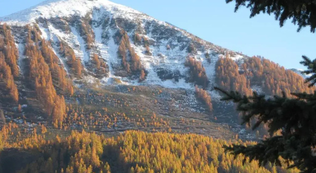 Шале с 2 комнатами Chalet Edi