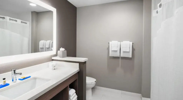 Четырёхместный номер Standard Holiday Inn Express & Suites Lubbock Central - Univ Area by IHG