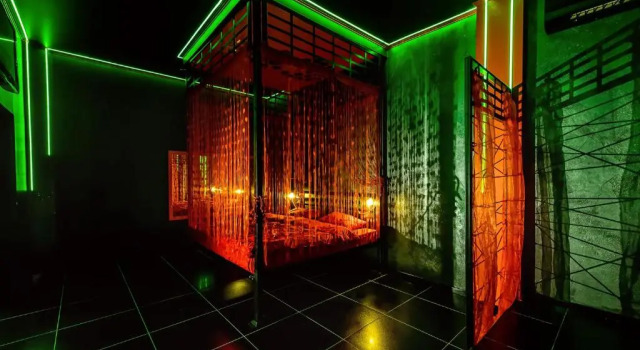Domino House