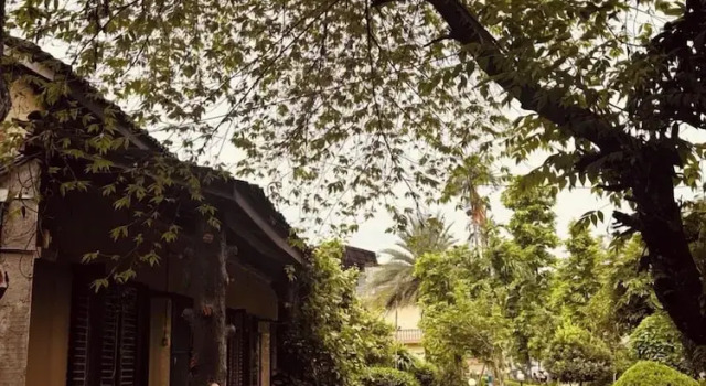Номер Economy Travellers Jungle Camp-Sauraha