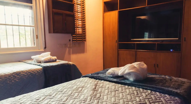Номер Executive Urbanature Filme & Arte - Comfort Hostel Brooklin