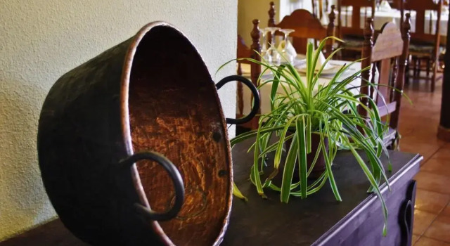Hotel Galaroza Sierra, Book Hotel Hotels in Extremadura with Breakfast, Breakfasts