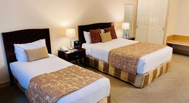 Двухместный номер Deluxe Royal Albert Hotel