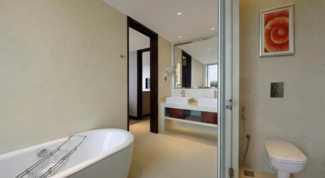 Двухместный полулюкс с видом на город Courtyard by Marriott Pune Chakan