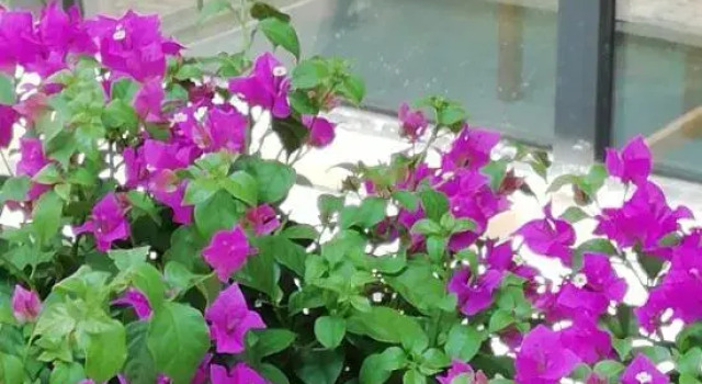 House In Cloud, Book Hotel Hotels in Taizhou with a Pool, Swimming Pool