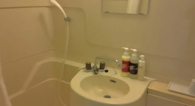 Одноместный номер Standard Hotel Tsukuba Hills Umezono