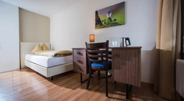 Одноместный номер Panorama с видом на Юнгфрау Jungfrau Hotel
