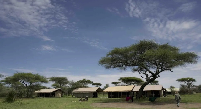 The Royal Migration Camp - All Inclusive, Забронировать Кемпинг Кемпинги и глэмпинги Серенгети, Кемпинг