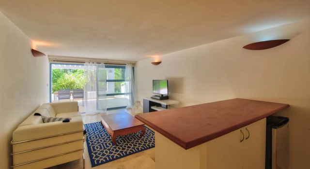 Exclusive Location, Heated Pool, Walk to the Beach, AC, Free Wifi, Concierge Services, Book Hotel Les Terres Basses Saint Martin