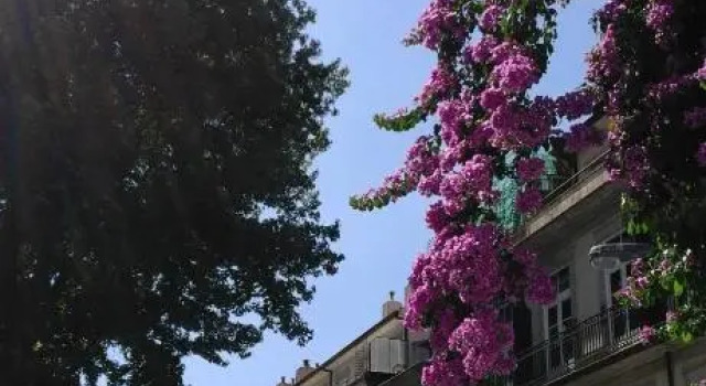 House Cedofeita, Varaa Hotelli Hotellit Porto pysäköinnillä, Pysäköinti