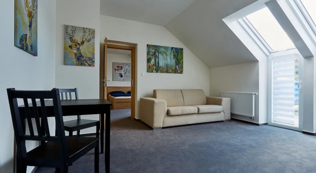 Habitación familiar Estándar Bílichov