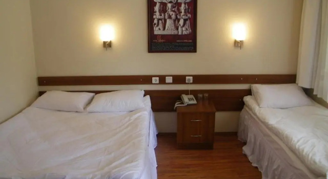 Двухместный номер Standard Hotel Aşıkoğlu